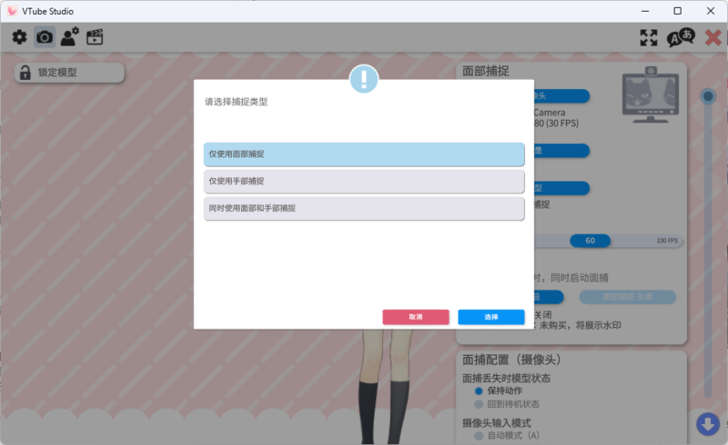 捕捉类型选择选项建议.png