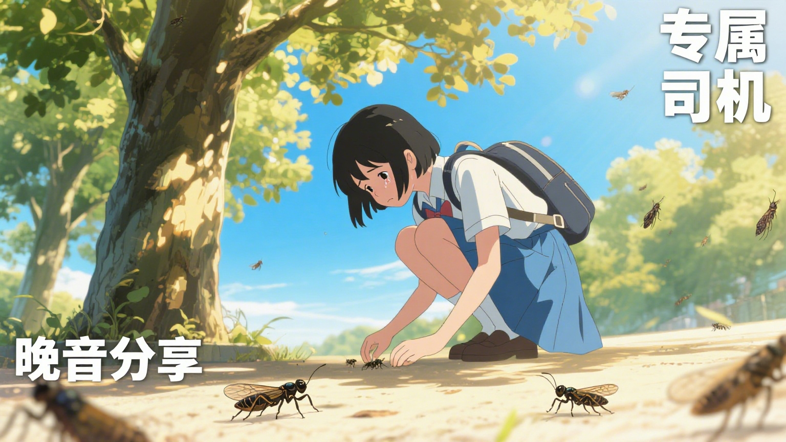 专属司机.png