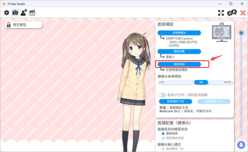捕捉类型设置.png